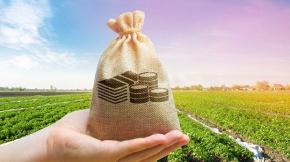 50f8e07856f4485f87da1e1831f75175-800x491