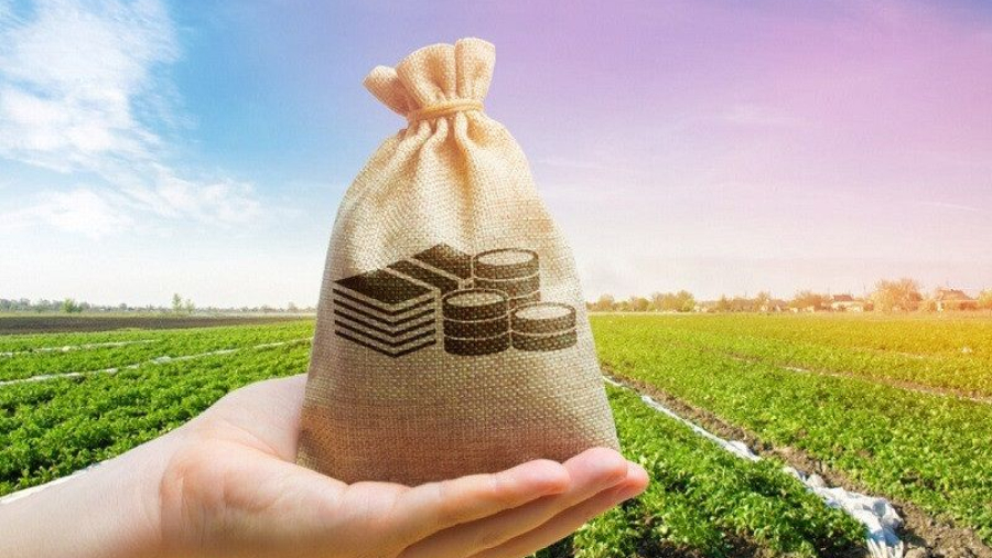 50f8e07856f4485f87da1e1831f75175-800x491